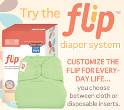 flip diaper system